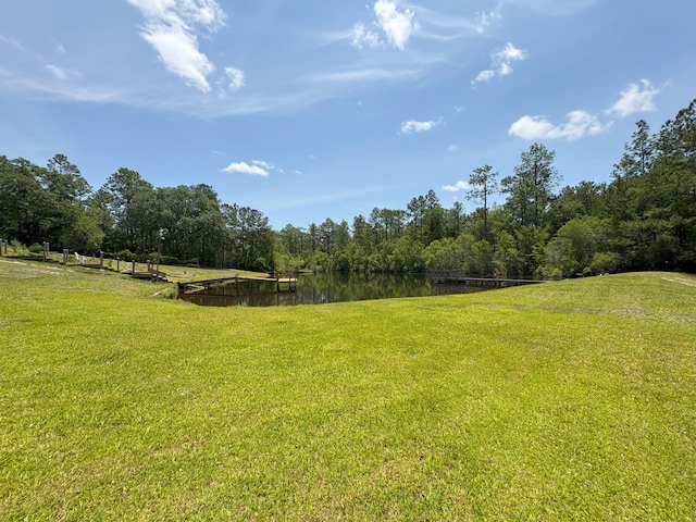 3864 Bear Head Rd, Crestview, FL 32539 - view of grassy yard featuring a water view and a wooded view