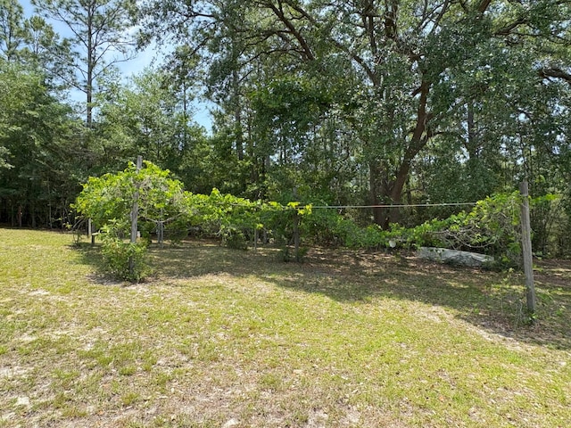 3864 Bear Head Rd, Crestview, FL 32539 - view of grassy yard
