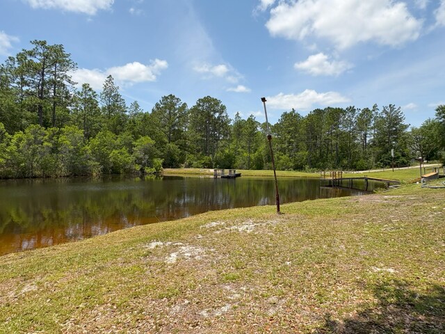 3864 Bear Head Rd, Crestview, FL 32539 - water view with a forest