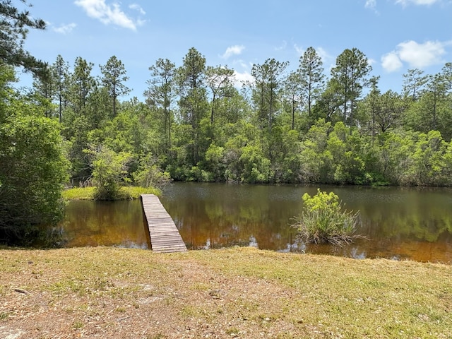 3864 Bear Head Rd, Crestview, FL 32539 - dock area featuring a water view and a forest view