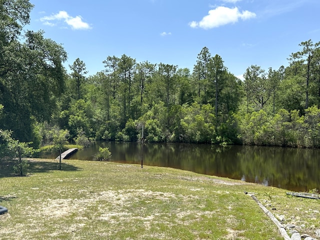 3864 Bear Head Rd, Crestview, FL 32539 - view of green lawn with a water view and a view of trees