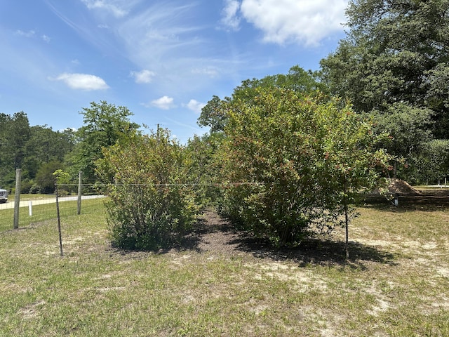 3864 Bear Head Rd, Crestview, FL 32539 - view of undeveloped land