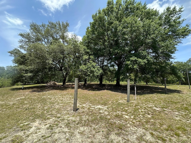 3864 Bear Head Rd, Crestview, FL 32539 - view of yard