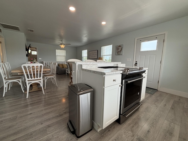101 Barbados Dr, Cape San Blas, FL 32456 - kitchen featuring stainless steel electric stove, open floor plan, healthy amount of natural light, wood finished floors, and recessed lighting