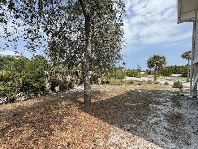 101 Barbados Dr, Cape San Blas, FL 32456 - view of yard