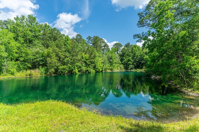 6859 Bill Lundy Rd, Laurel Hill, FL 32567 - water view with a heavily wooded area