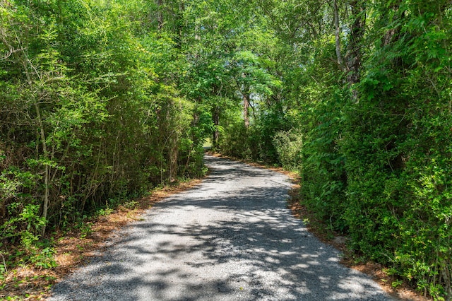 6859 Bill Lundy Rd, Laurel Hill, FL 32567 - view of road with a view of trees