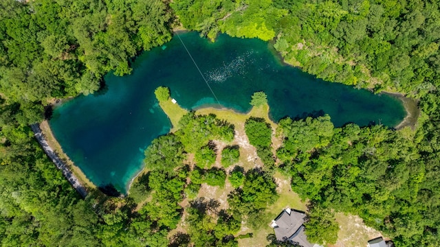 6859 Bill Lundy Rd, Laurel Hill, FL 32567 - bird's eye view of a nearby body of water and a heavily wooded area
