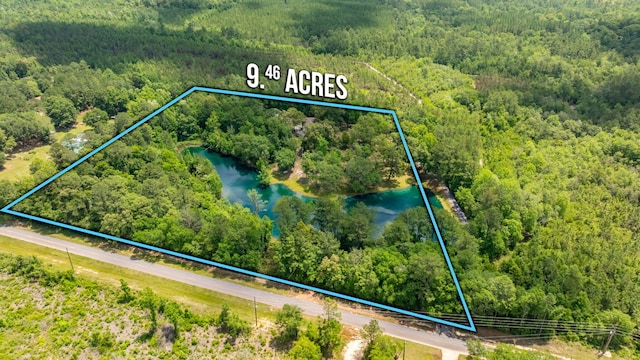 6859 Bill Lundy Rd, Laurel Hill, FL 32567 - aerial view of property's location with a forest, property boundaries highlighted, and a nearby body of water
