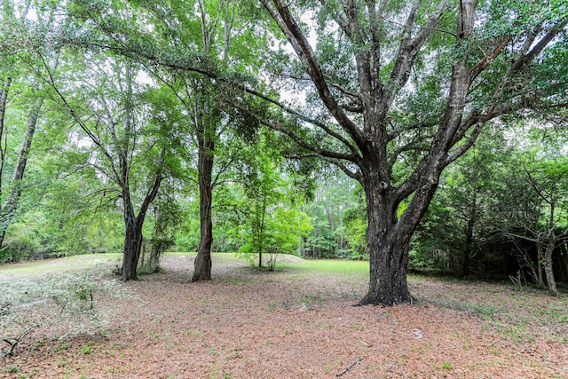 30 Creekside Waterview Pl, Freeport, FL 32439 - photo 41