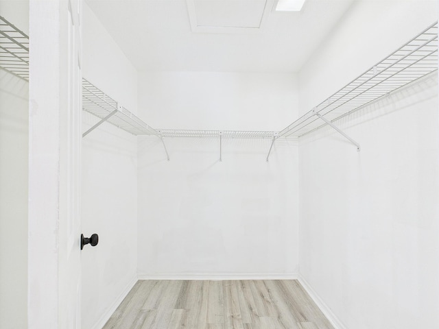 1000 Bay Dr Unit 524, Niceville, FL 32578 - walk in closet featuring wood finished floors