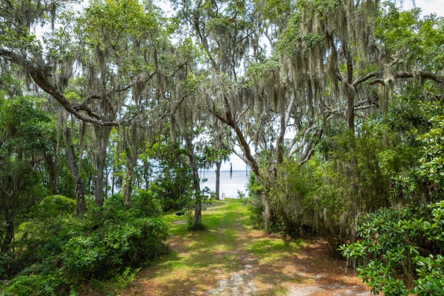 132 Chrysler Ave, Santa Rosa Beach, FL 32459 - photo 40