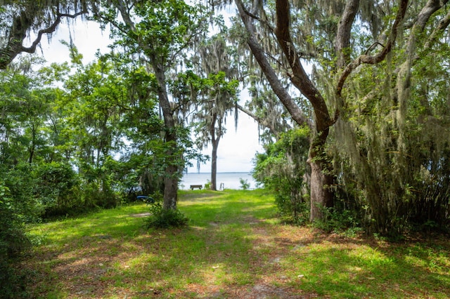 132 Chrysler Ave, Santa Rosa Beach, FL 32459 - photo 41