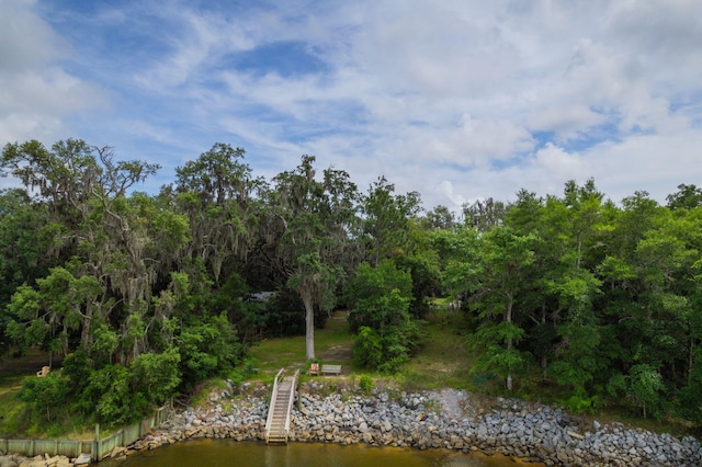 132 Chrysler Ave, Santa Rosa Beach, FL 32459 - photo 43