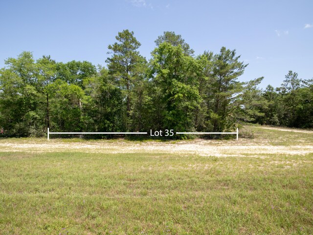 LOT35 US Highway 90, Defuniak Springs, FL 32433