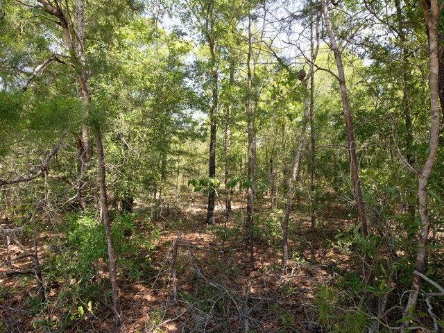 LOT35 US Highway 90, Defuniak Springs, FL 32433