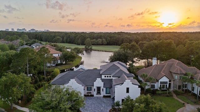 3502 Burnt Pine Ln, Miramar Beach, FL 32550 - aerial view of a large body of water and a forest