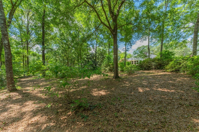 6087 Terrace Ln, Crestview, FL 32536 - view of nature