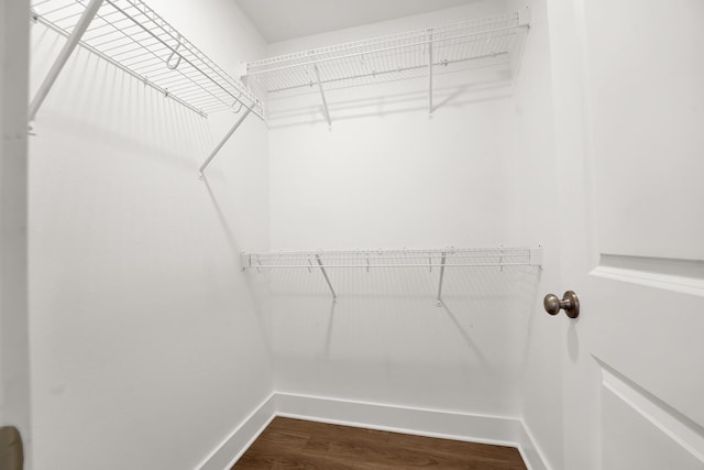 262 Bayou Bend Ln, Panama City, FL 32404 - spacious closet featuring dark wood-style floors