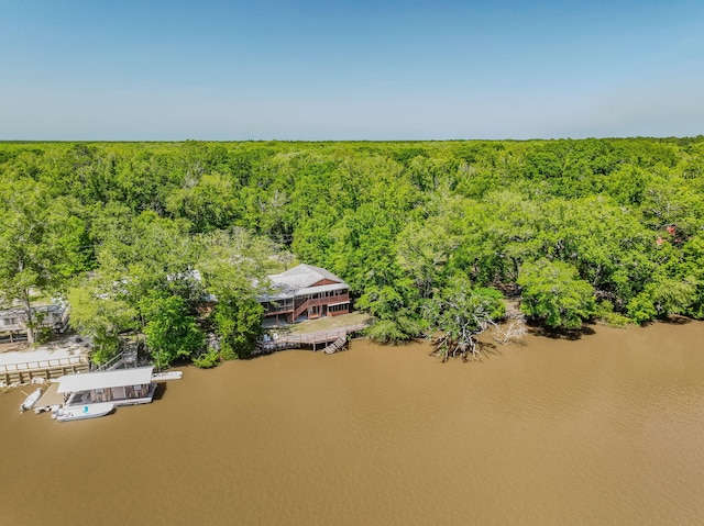 891 Choctawhatchee River Rd, Ponce De Leon, FL 32455 - aerial view of a forest and a nearby body of water