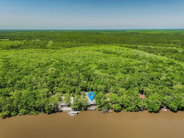 891 Choctawhatchee River Rd, Ponce De Leon, FL 32455 - drone / aerial view of a forest and a nearby body of water