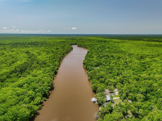 891 Choctawhatchee River Rd, Ponce De Leon, FL 32455 - aerial view of a heavily wooded area and a large body of water