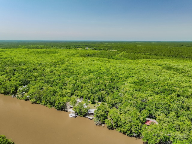891 Choctawhatchee River Rd, Ponce De Leon, FL 32455 - bird's eye view of a forest and a large body of water