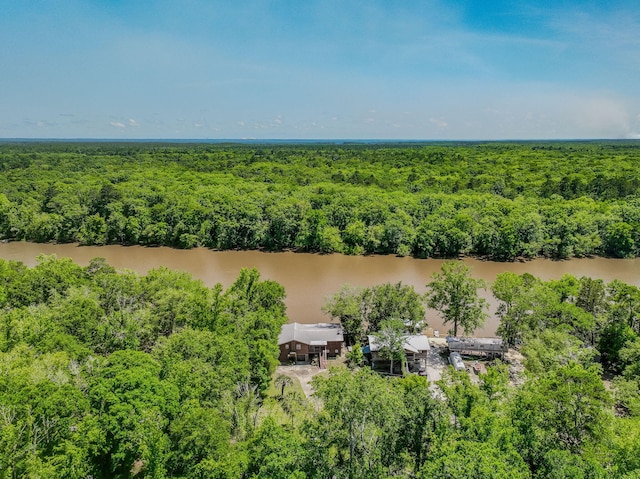 891 Choctawhatchee River Rd, Ponce De Leon, FL 32455 - bird's eye view of a heavily wooded area and a nearby body of water