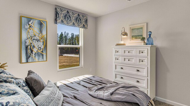 3064 Heritage Plantation Blvd, Laurel Hill, FL 32567 - carpeted bedroom with baseboards