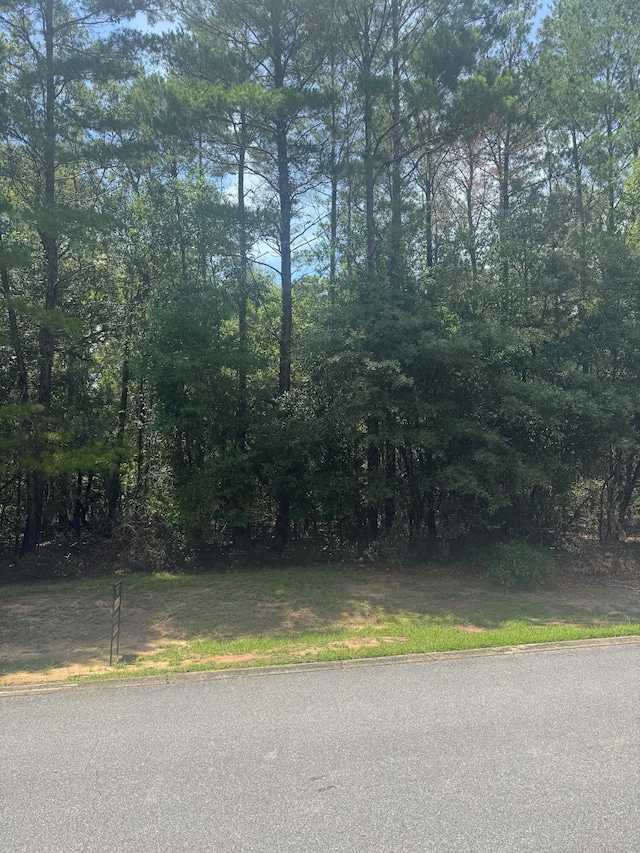 00000 S J Hunters Way Lot 8, Freeport, FL 32439 - photo 5
