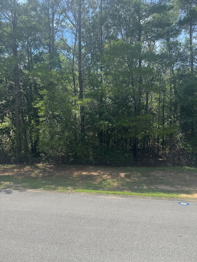 00000 S J Hunters Way Lot 8, Freeport, FL 32439 - photo 6
