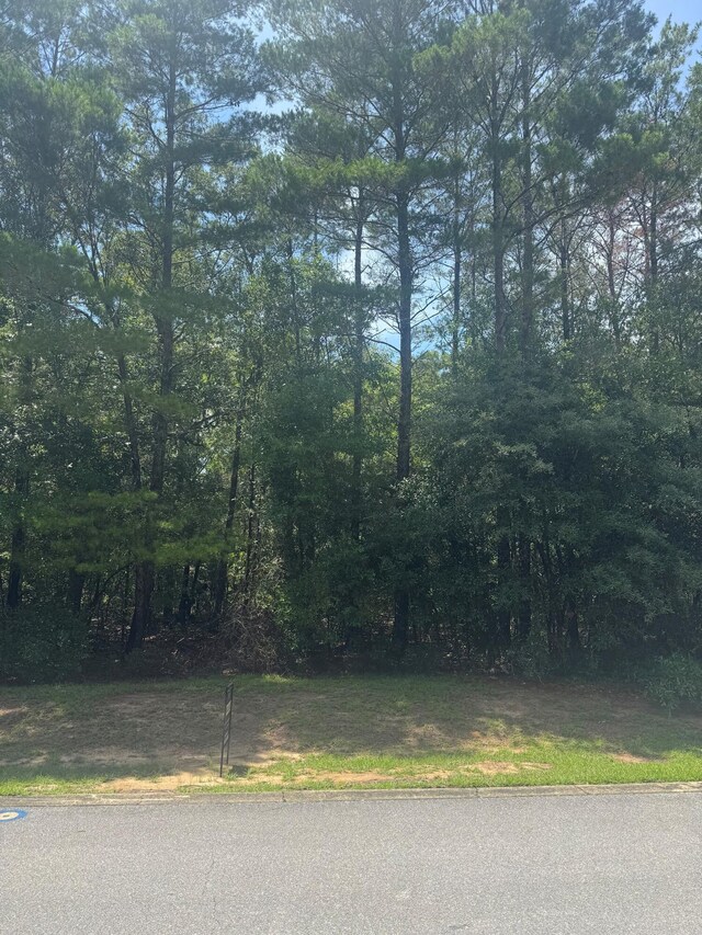 00000 S J Hunters Way Lot 8, Freeport, FL 32439 - photo 7