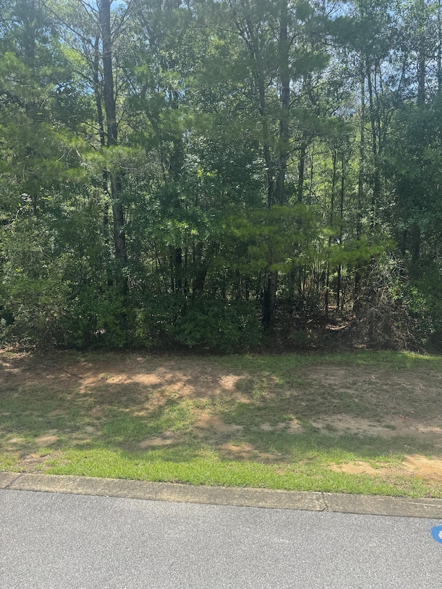 00000 S J Hunters Way Lot 8, Freeport, FL 32439 - photo 8