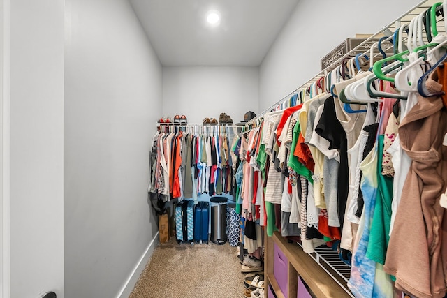 3204 Airport Rd, Panama City, FL 32405 - spacious closet featuring carpet