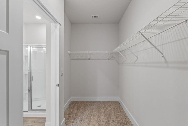 608 Champ Trl, Crestview, FL 32539 - walk in closet featuring carpet
