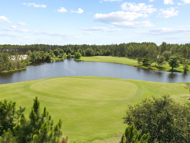 84 Catface Dr, Watersound, FL 32461 - photo 50