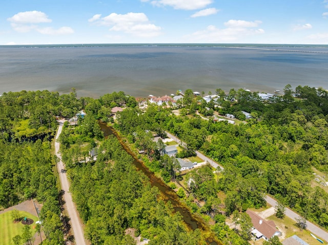 319 N Eden Park Dr, Santa Rosa Beach, FL 32459 - photo 7