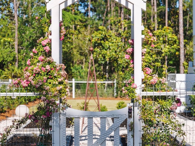 241 N 7th St, Santa Rosa Beach, FL 32459 - view of yard featuring a gate and view of scattered trees