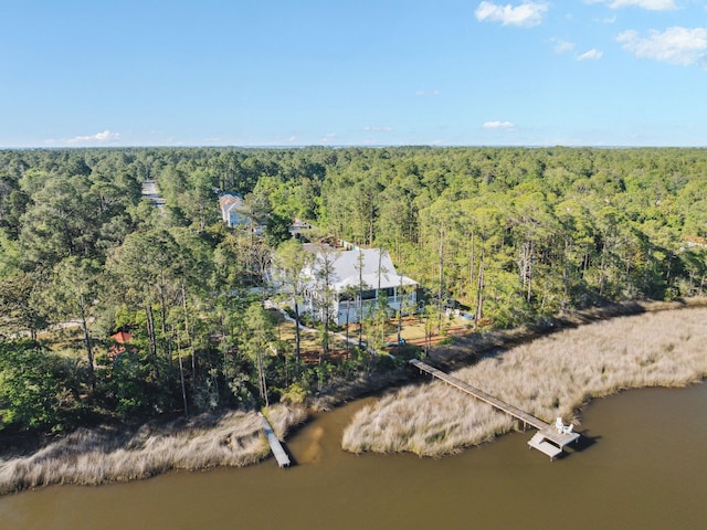 241 N 7th St, Santa Rosa Beach, FL 32459 - bird's eye view of a forest and a nearby body of water