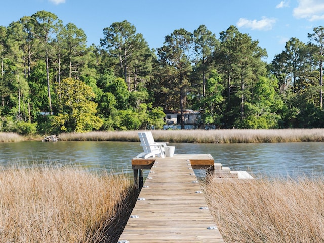 241 N 7th St, Santa Rosa Beach, FL 32459 - dock featuring a water view