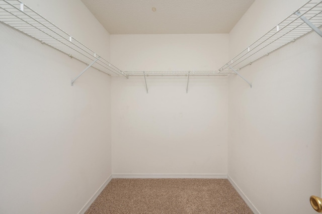 390 Brackin St, Crestview, FL 32539 - walk in closet with light colored carpet