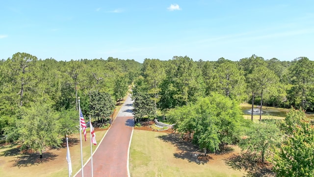 92 Hollow Log Ln, Freeport, FL 32439 - photo 54
