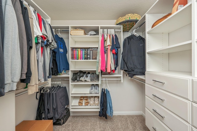 5378 Wyndell Cir, Crestview, FL 32539 - spacious closet featuring carpet flooring
