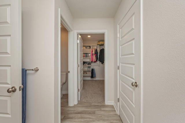 5378 Wyndell Cir, Crestview, FL 32539 - hallway with light wood finished floors and baseboards