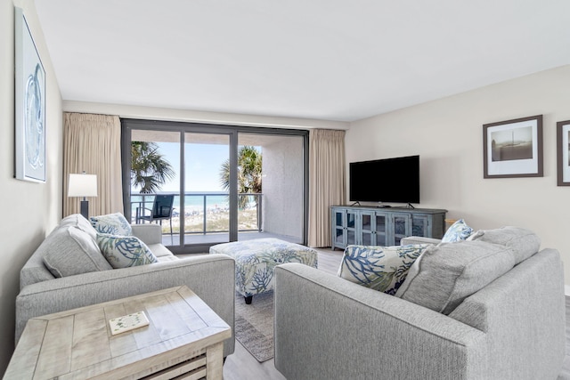 4228 Beachside Two # 228, Miramar Beach, FL 32550 - living room with light wood-style flooring