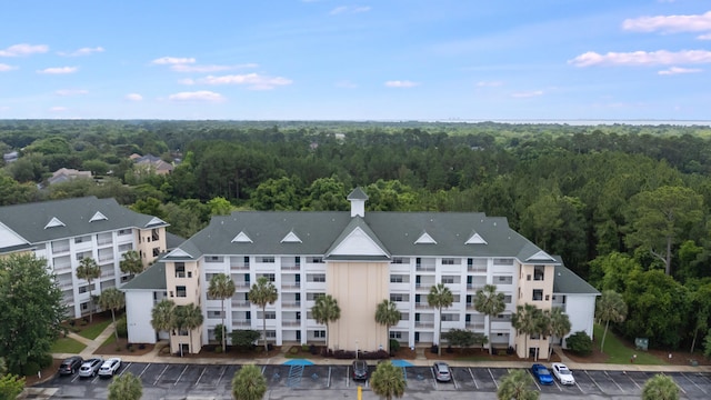 4270 Calinda Ln Unit 343, Niceville, FL 32578 - aerial view of a forest