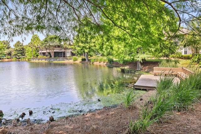 8585 Magnolia Bay Ln, Miramar Beach, FL 32550 - water view featuring a dock