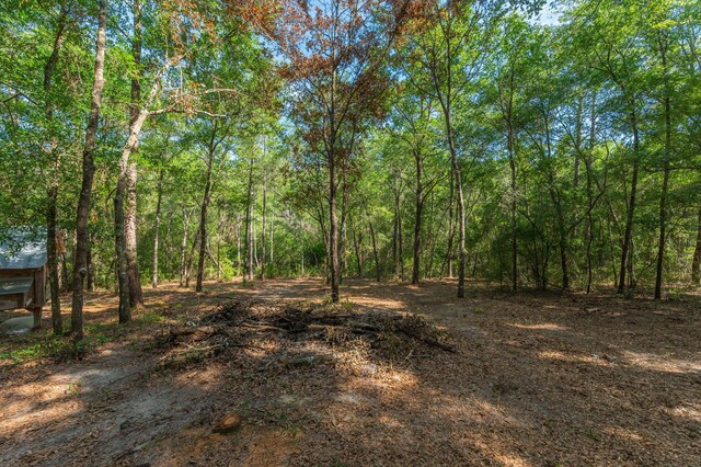 1827 Waterway Dr, Baker, FL 32531 - photo 45