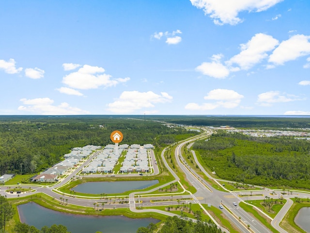 8454 Dreams Float Ct, Panama City Beach, FL 32413 - drone / aerial view of a forest and a nearby body of water