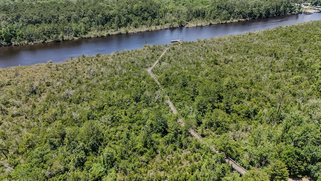 720 Riverwalk Cir, Freeport, FL 32439 - drone / aerial view of a forest and a nearby body of water